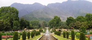 Top 10 Places to Visit in Srinagar for a Memorable Trip