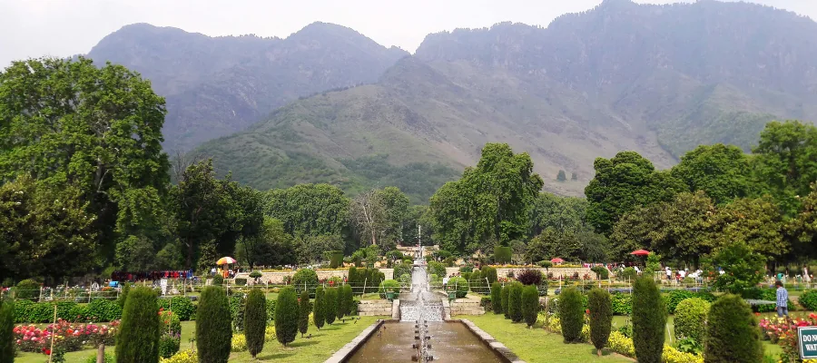 Top 10 Places to Visit in Srinagar for a Memorable Trip